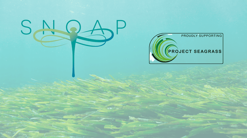 SNOAP supports Project Seagrass