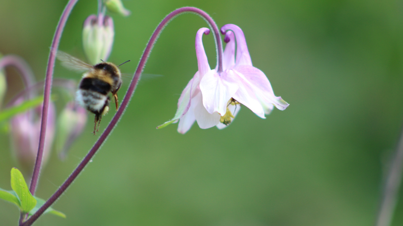 Life After Dragons’ Den: The Wild Ride, the Wins & What’s Next for SNOAP