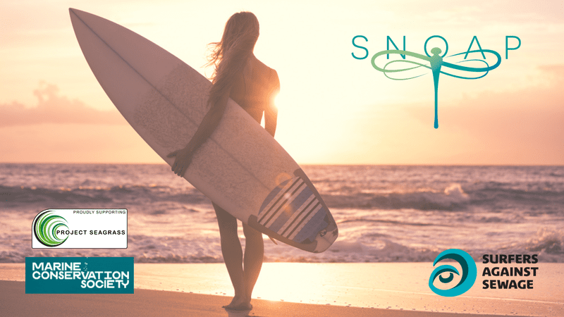 Taking Care of Our Beaches and Waterways