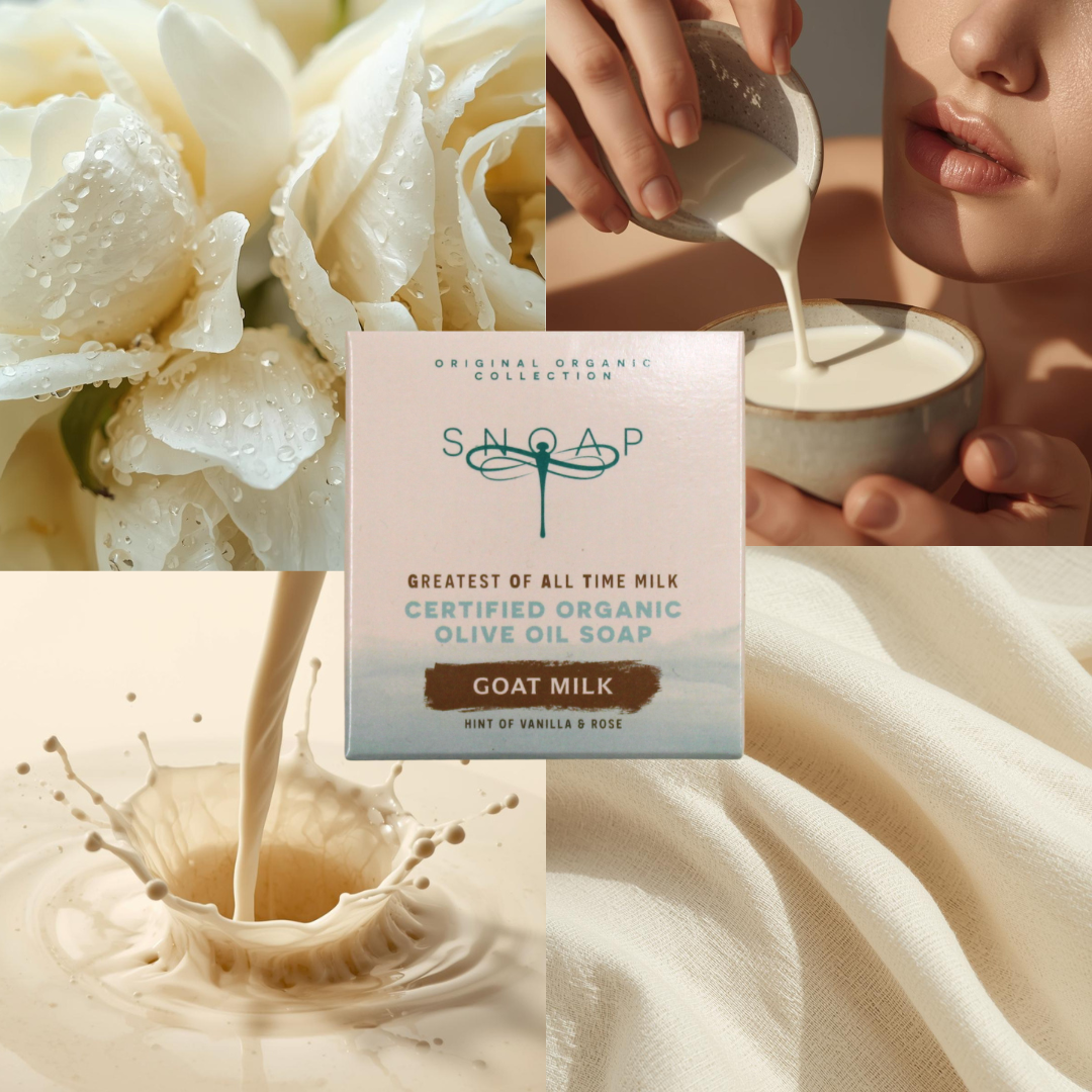Mood board for GOAT milk organic olive oil soap featuring vanilla, rose flowers, creamy milk with a cozy texture surrounding SNOAP GOAT milk soap packaging, evoking luxury and creamy hydration.