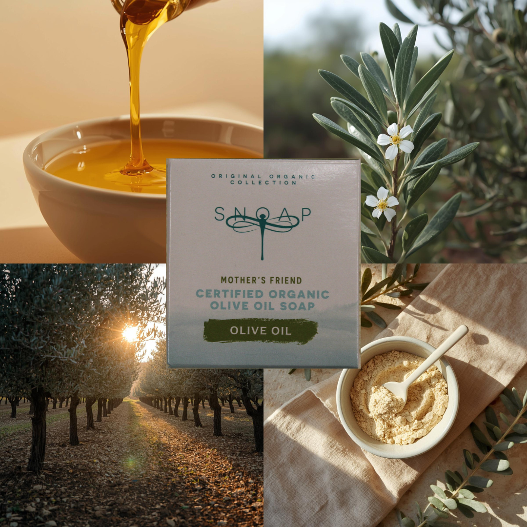 Mood board for Mother's Friend Fragrance Free organic olive oil soap featuring outdoor scenes of olive groves surrounding Mother's Friend soap packaging, evoking earthiness, natural ingredients and moisturising properties.