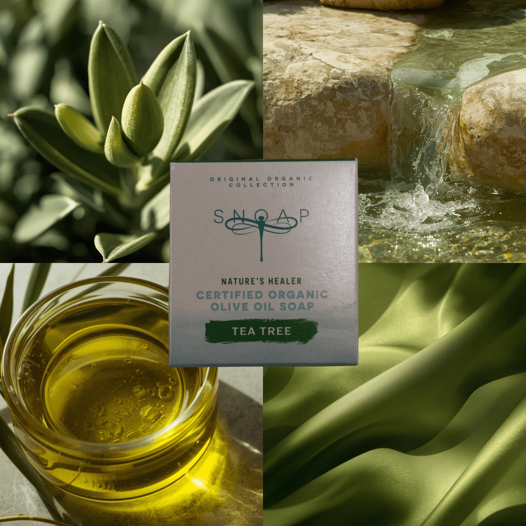 Mood board for Tea Tree organic olive oil soap featuring olives, olive oil, pure stream images and an essence of tea tree surrounding SNOAP Tea Tree soap packaging, evoking cleanliness and moisturising.