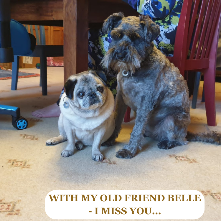 Stanley and our old pug Belle