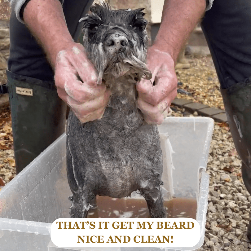 Fur Food - Pet Shampoo & Conditioner Bar - Green Clay & Peppermint