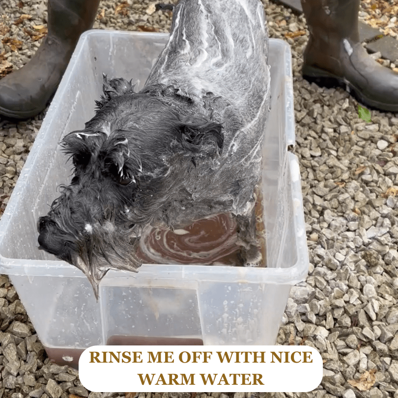 Fur Food - Pet Shampoo & Conditioner Bar - Green Clay & Peppermint