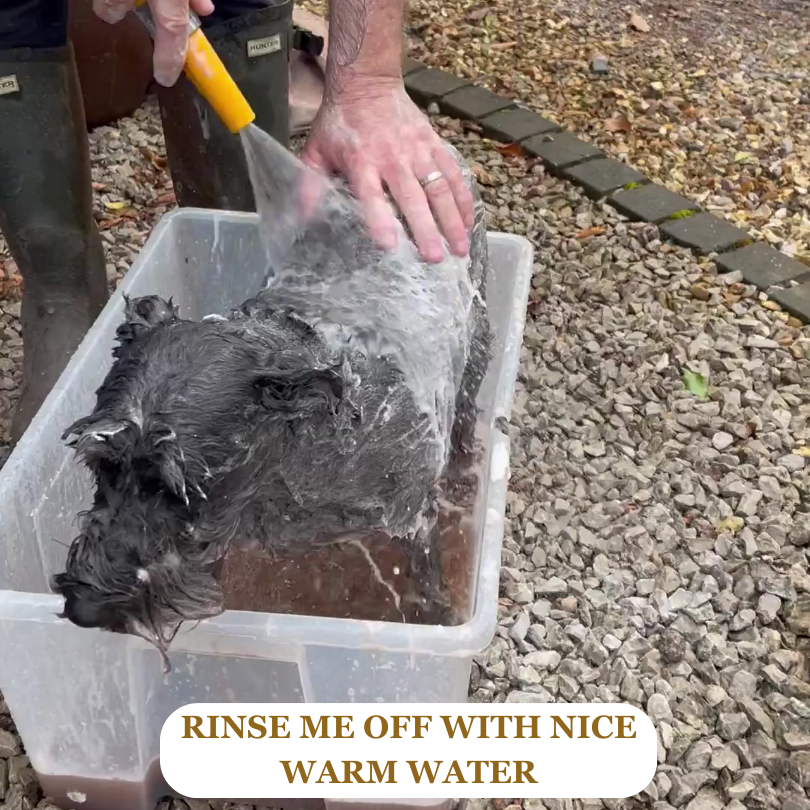 Fur Food - Pet Shampoo & Conditioner Bar - Green Clay & Peppermint