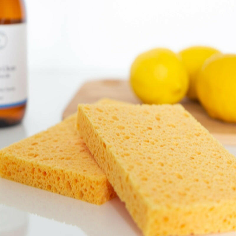 Biodegradable Household Sponge (Pack of 3)