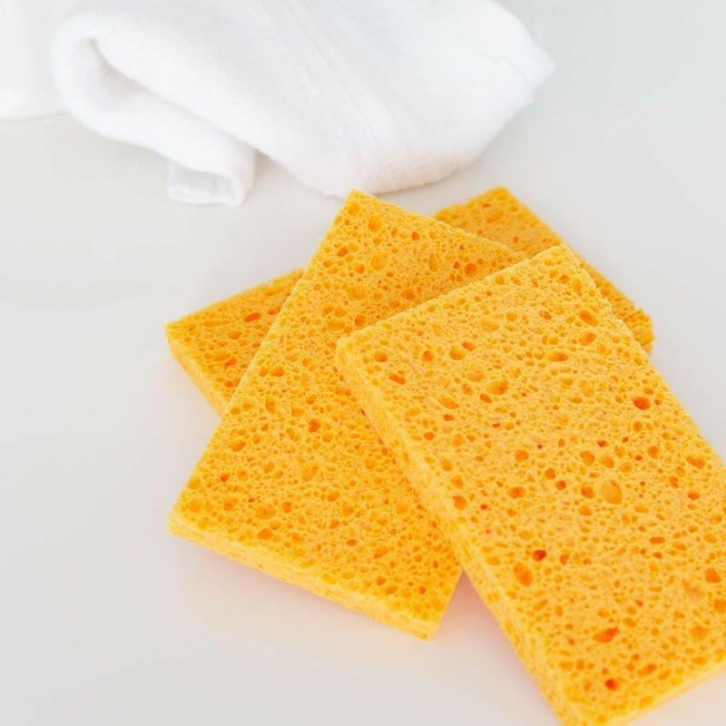 Biodegradable Household Sponge (Pack of 3)