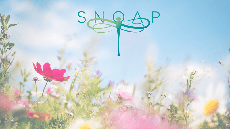 SNOAP in spring