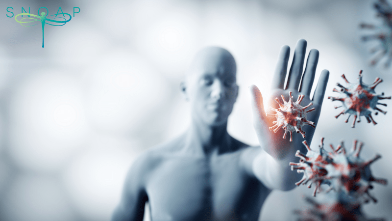 Are Antibacterial Soaps Fueling Antibiotic Resistance? Discover How SNOAP Provides a Safer Solution