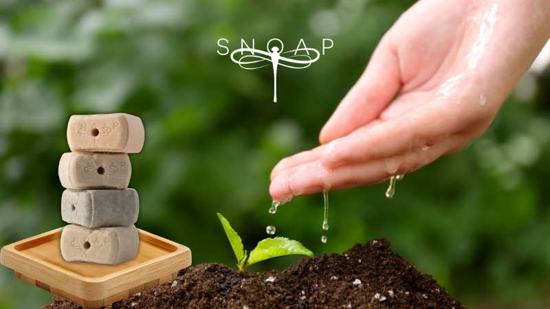 How What Goes Down Our Drains Comes Back to Our Plates