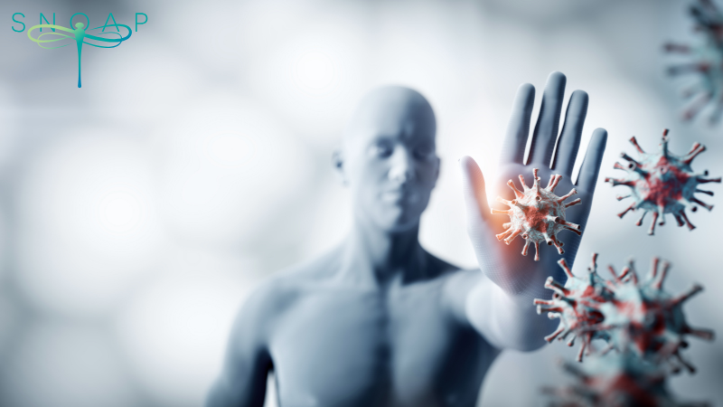 Are Antibacterial Soaps Fueling Antibiotic Resistance? Discover How SNOAP Provides a Safer Solution