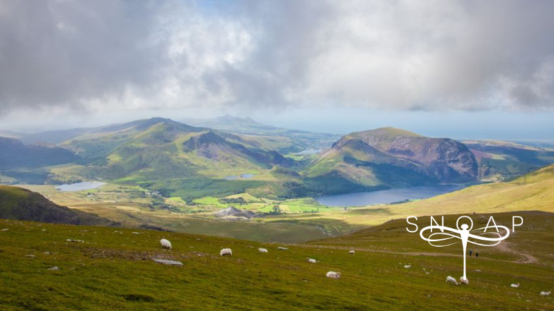 How the Mountains Shaped SNOAP: Celebrating Nature, Innovation, and International Mountain Day