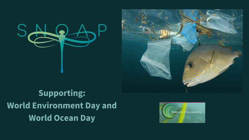 SNOAP - Supporting World Environment Day and World Ocean Day