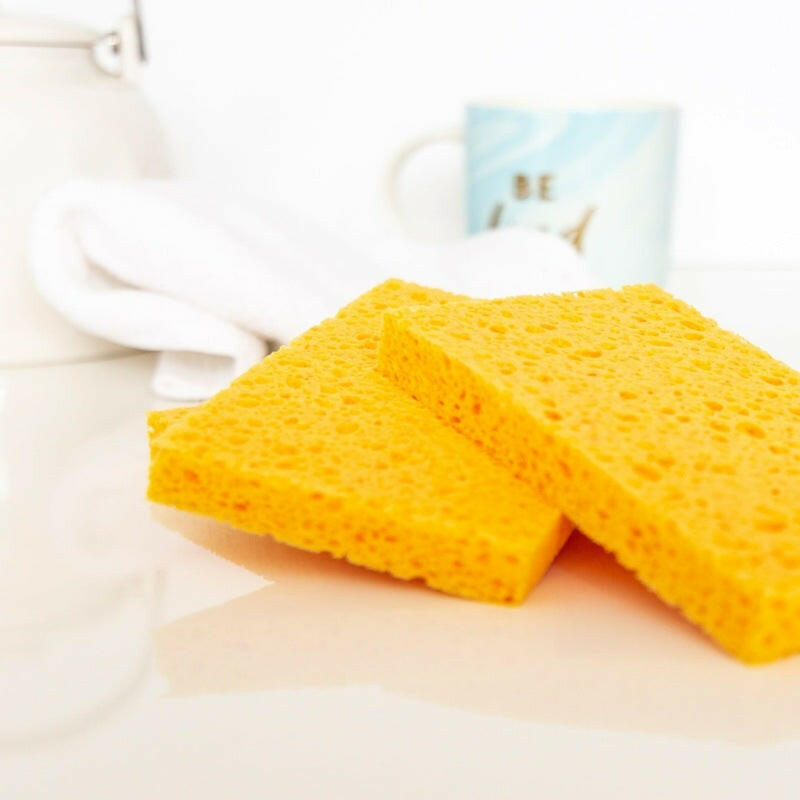 Biodegradable Household Sponge (Pack of 3)